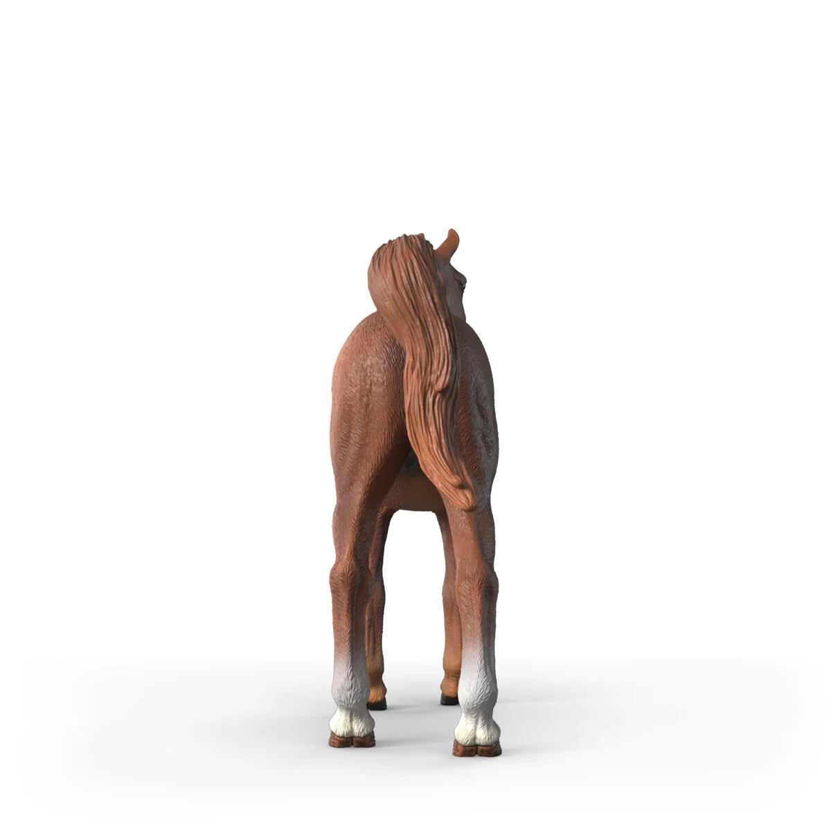 Miniatura 12