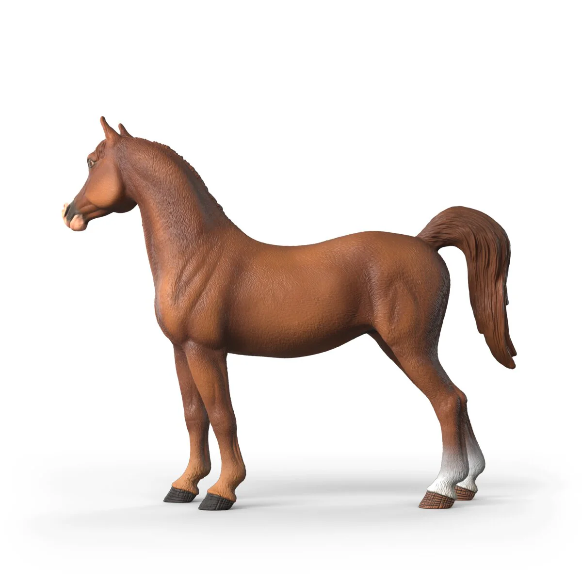 Miniatura 13