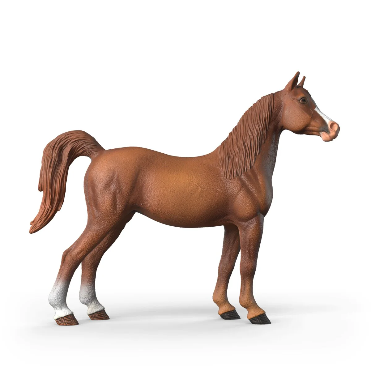 Miniatura 14
