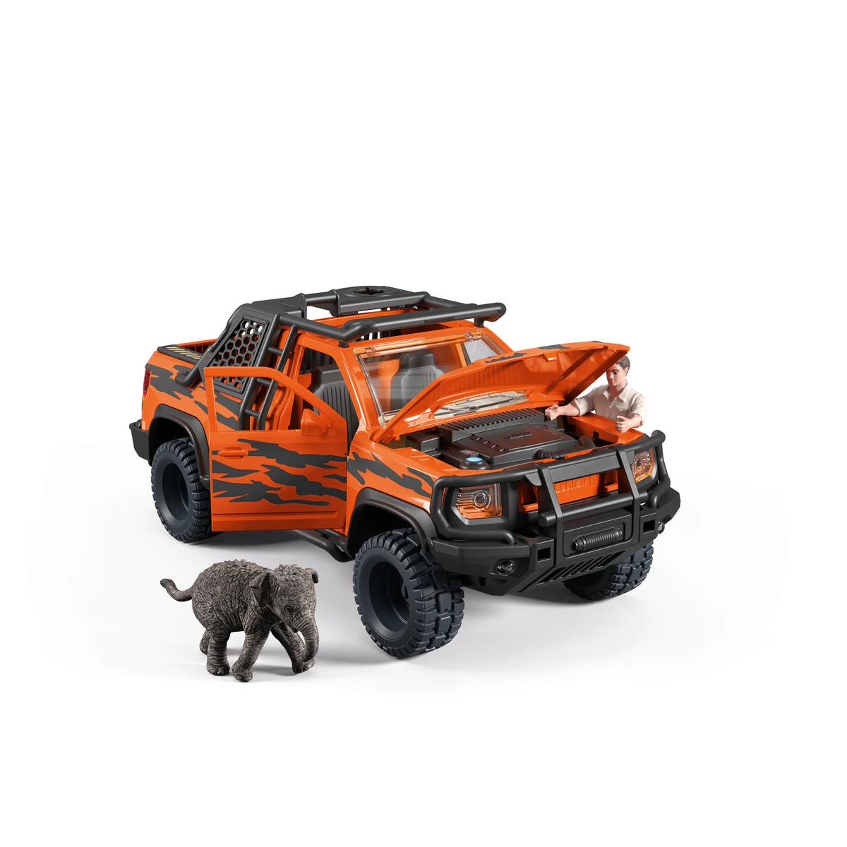 Miniatura 8