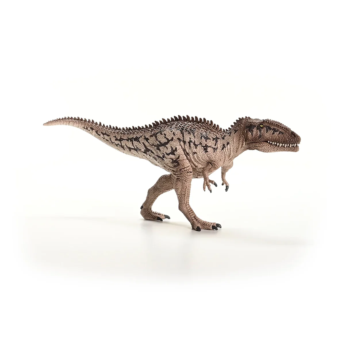 Miniatura 7