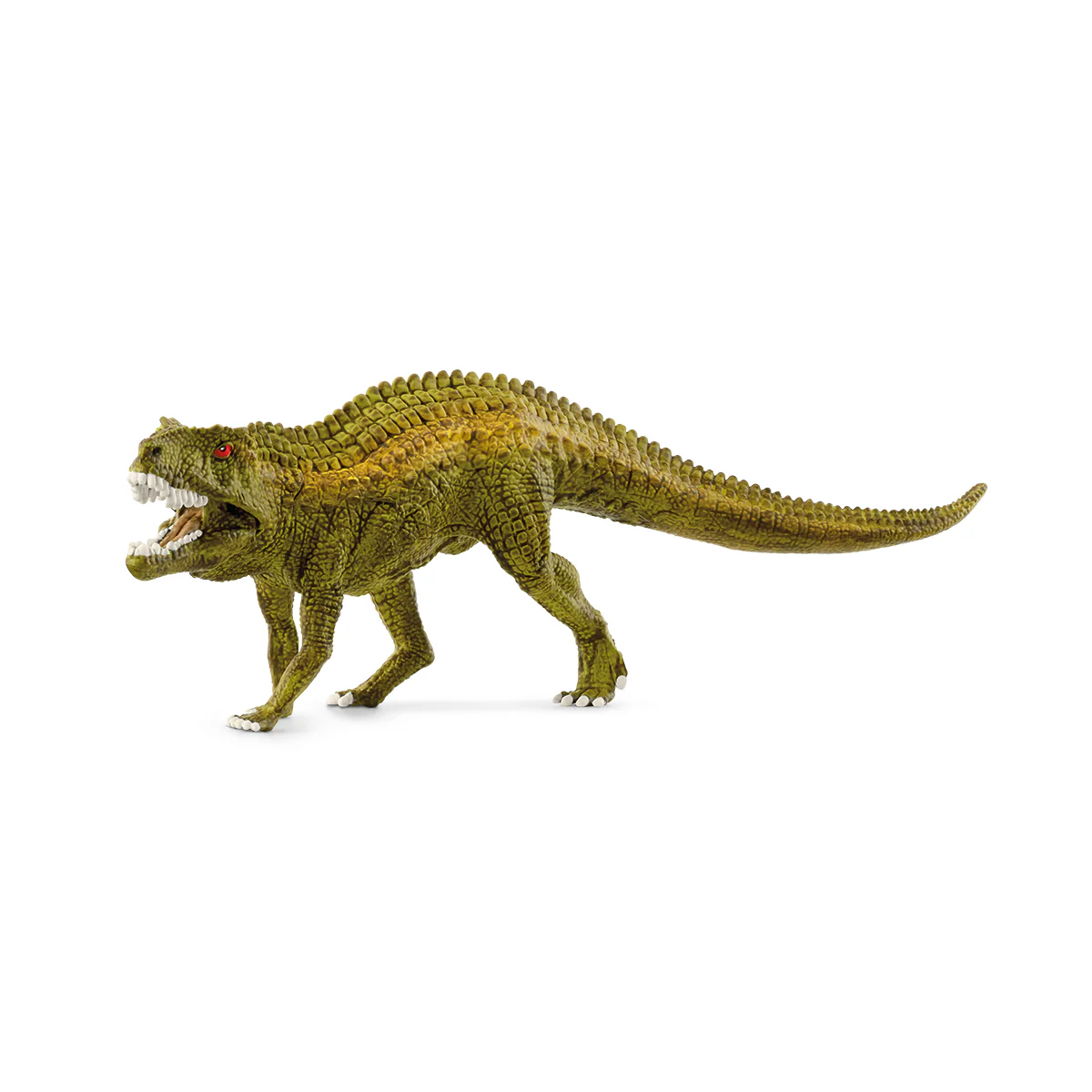 Miniatura 13