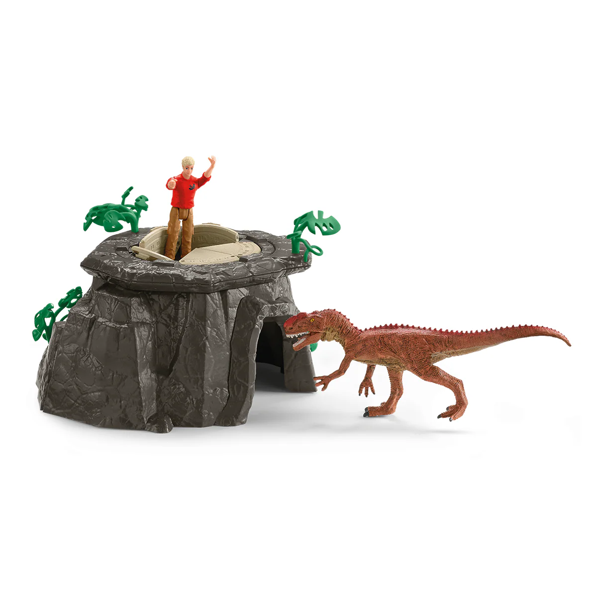 Miniatura 6