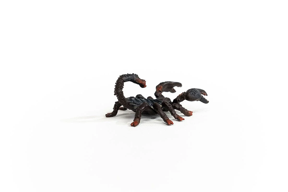 Miniatura 6