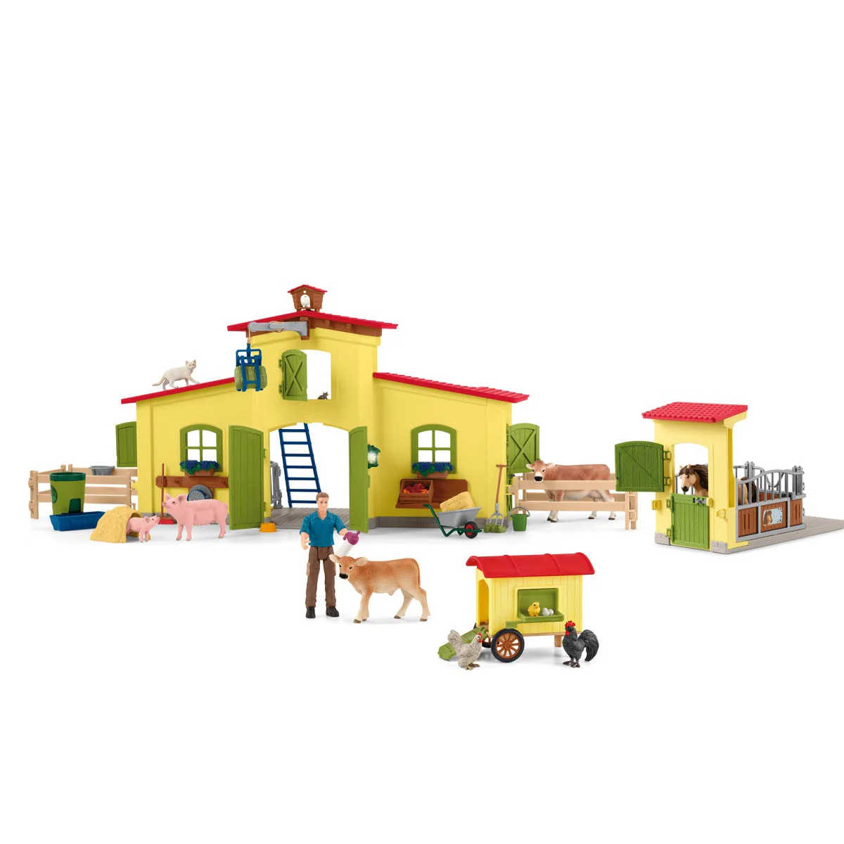 Miniatura 1