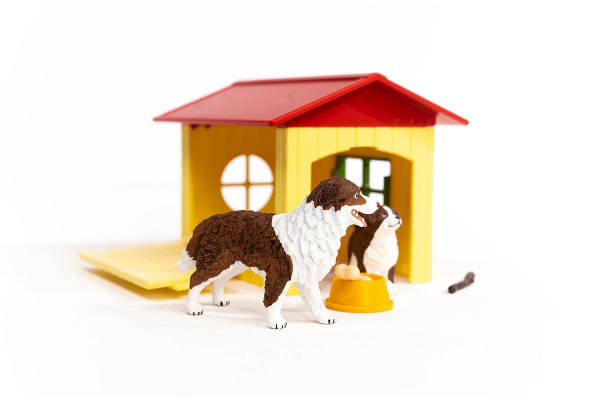 Miniatura 8