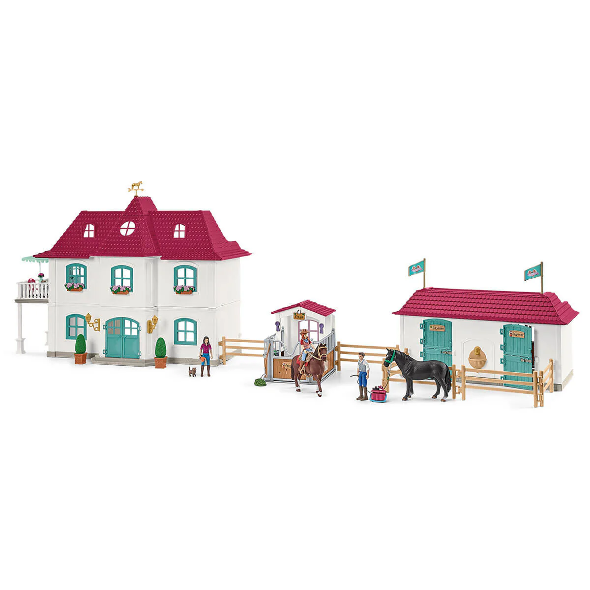 Miniatura 13
