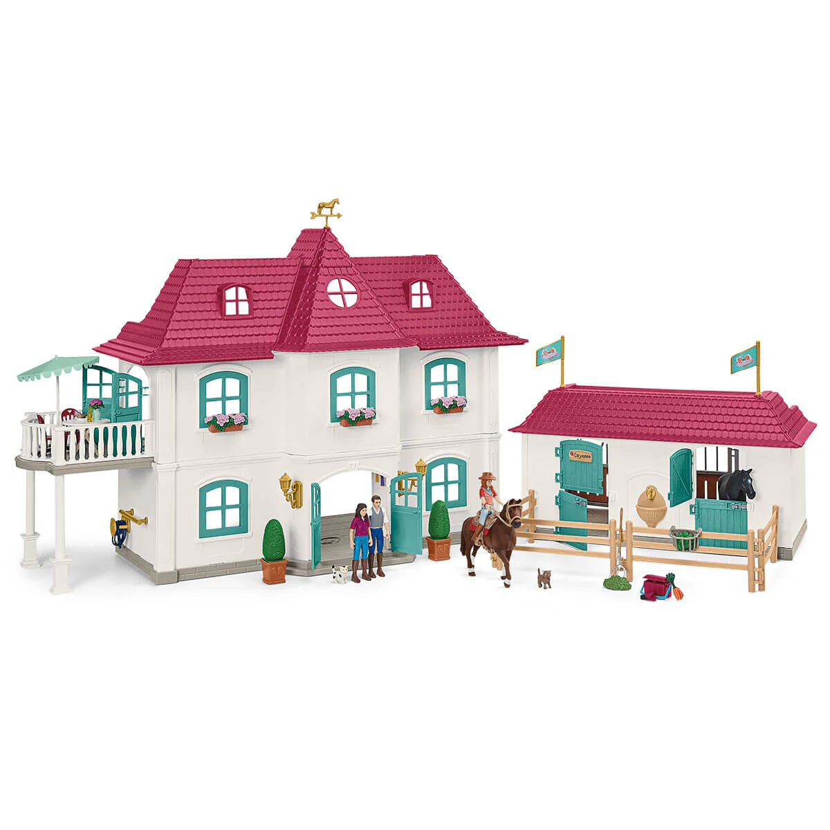 Miniatura 6