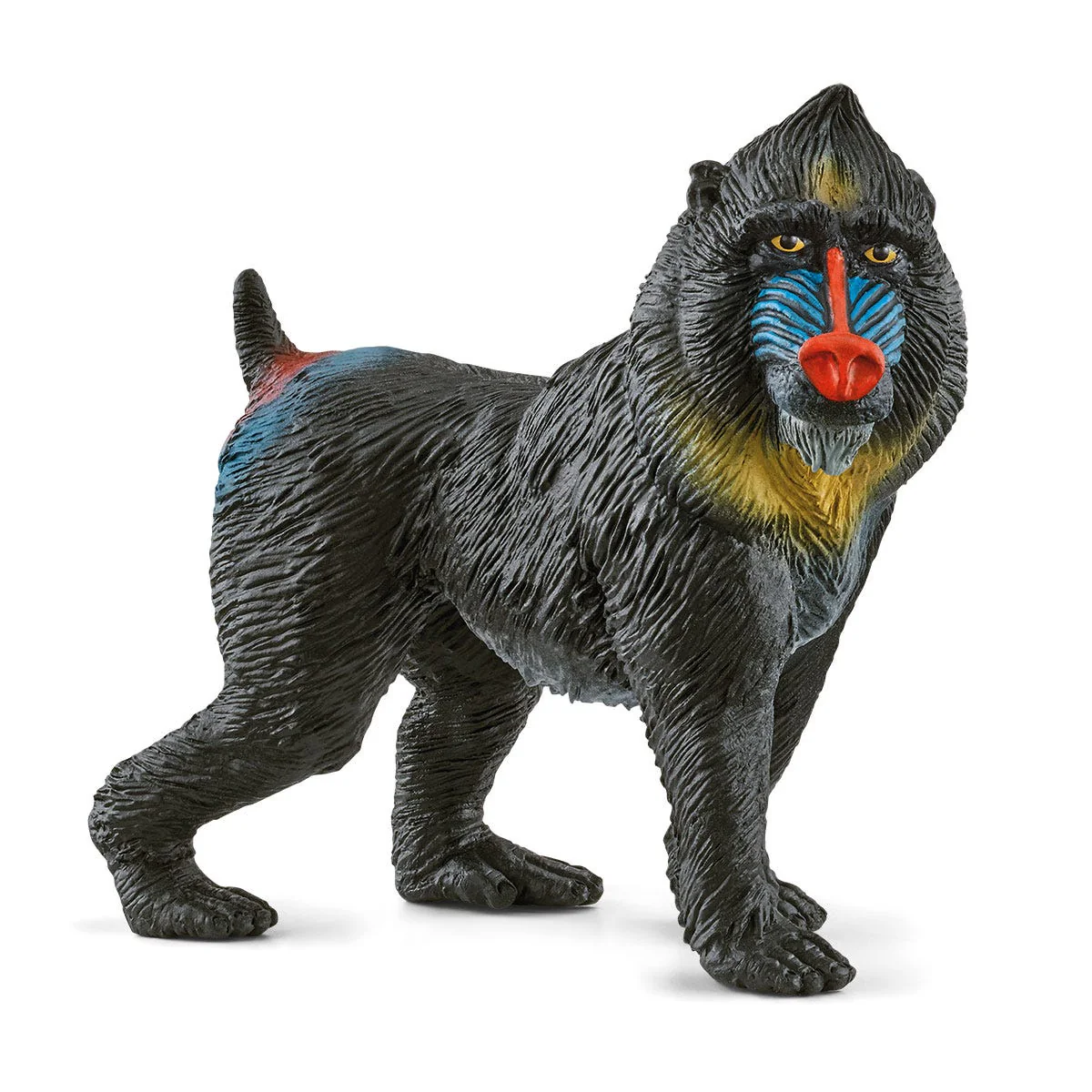 Miniatura 1