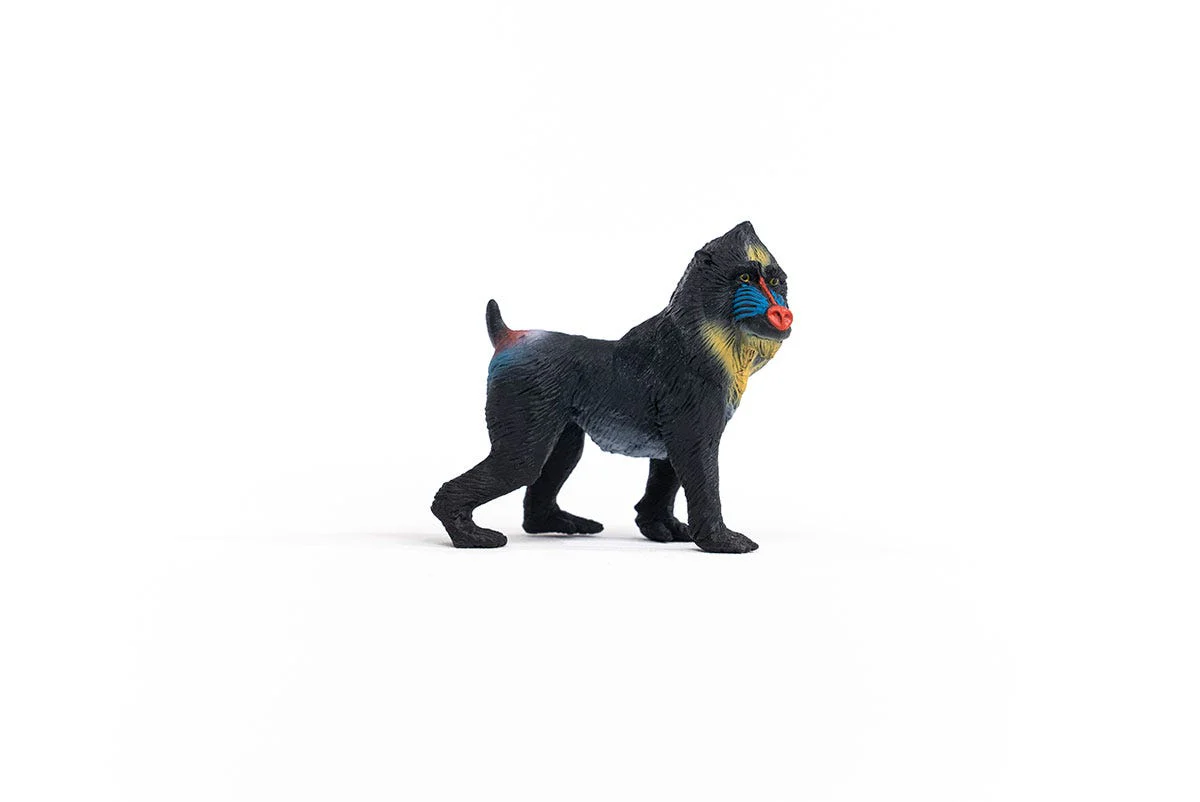 Miniatura 4