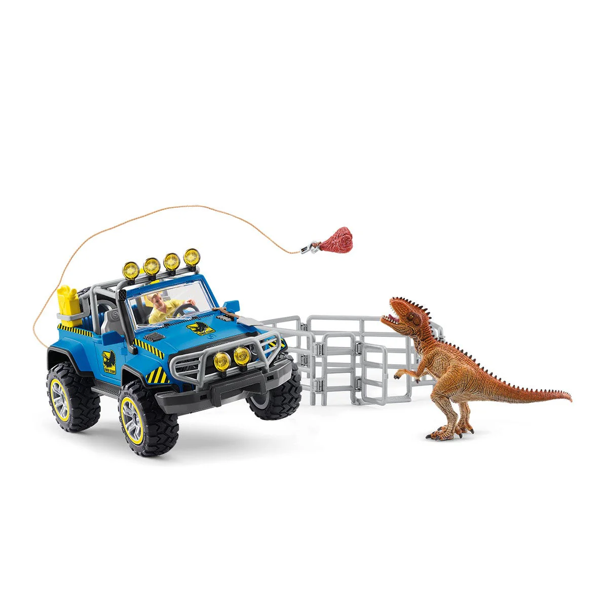 Miniatura 10