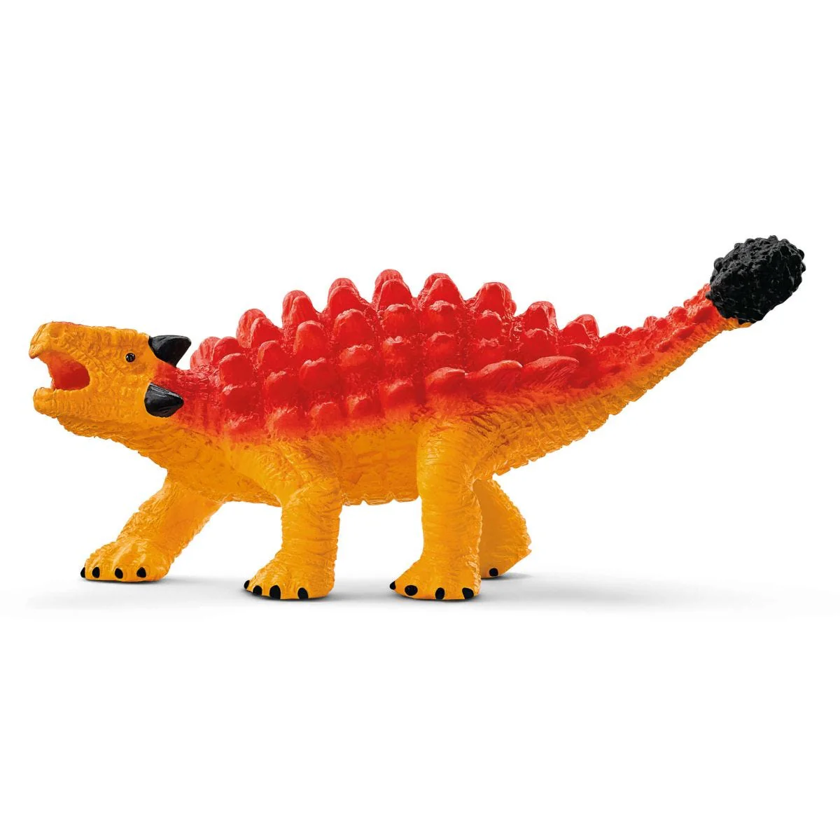 Miniatura 8