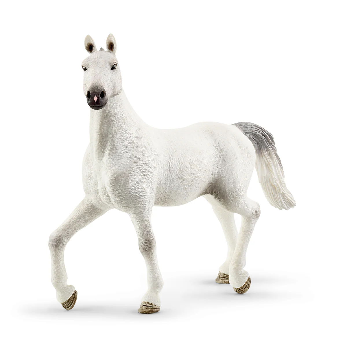 Miniatura 17