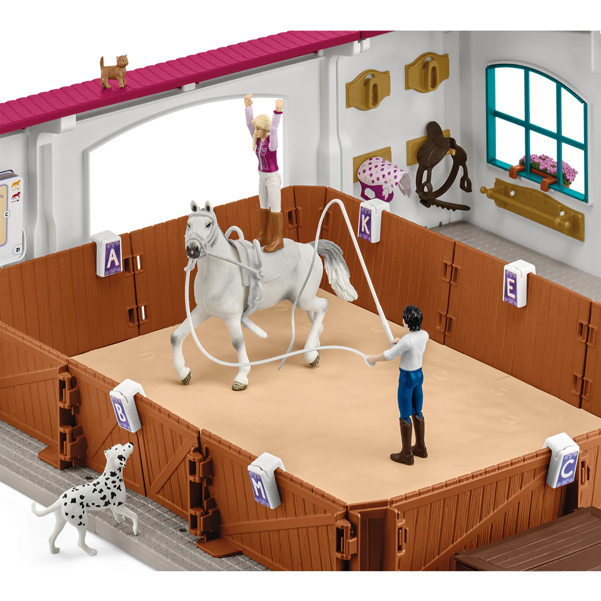 Miniatura 5