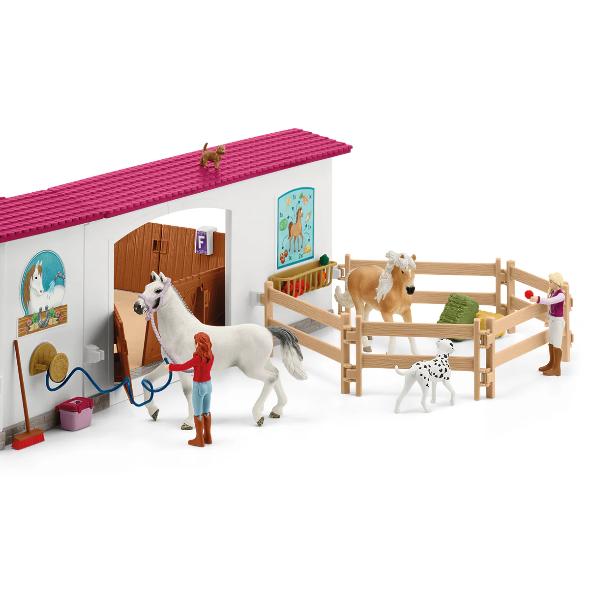 Miniatura 9