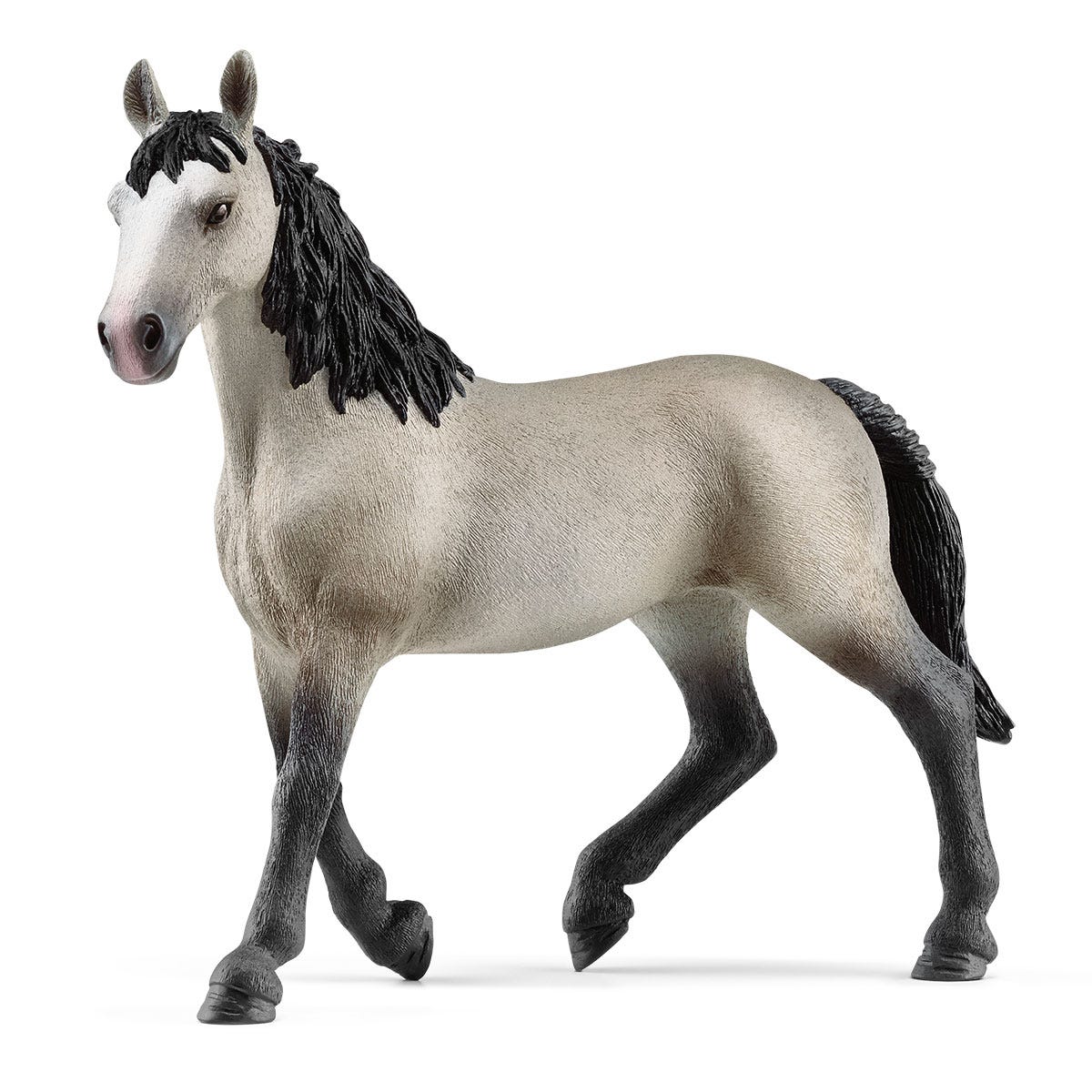 HORSE CLUB
