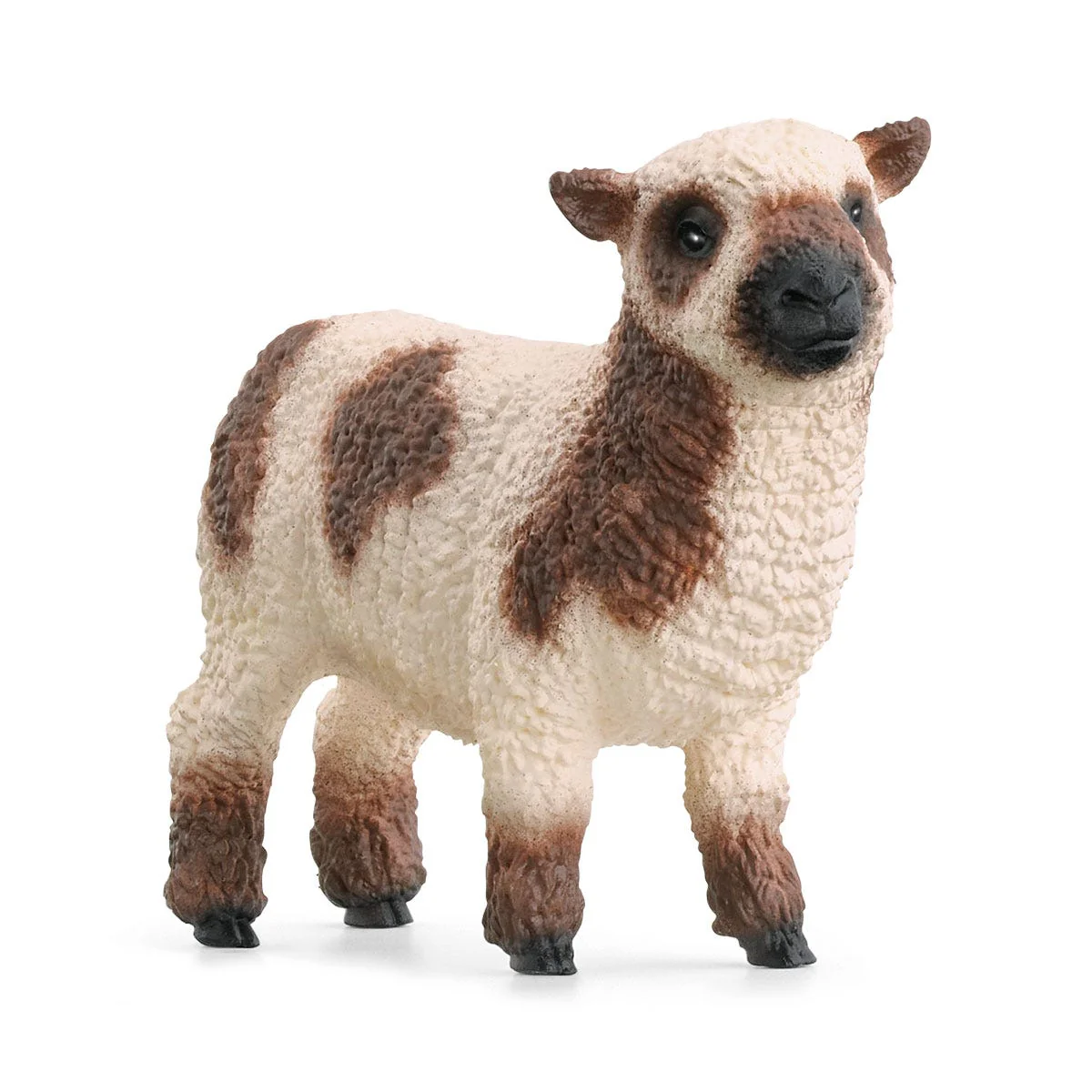 Miniatura 5