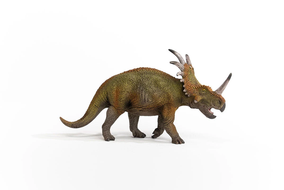 Miniatura 6